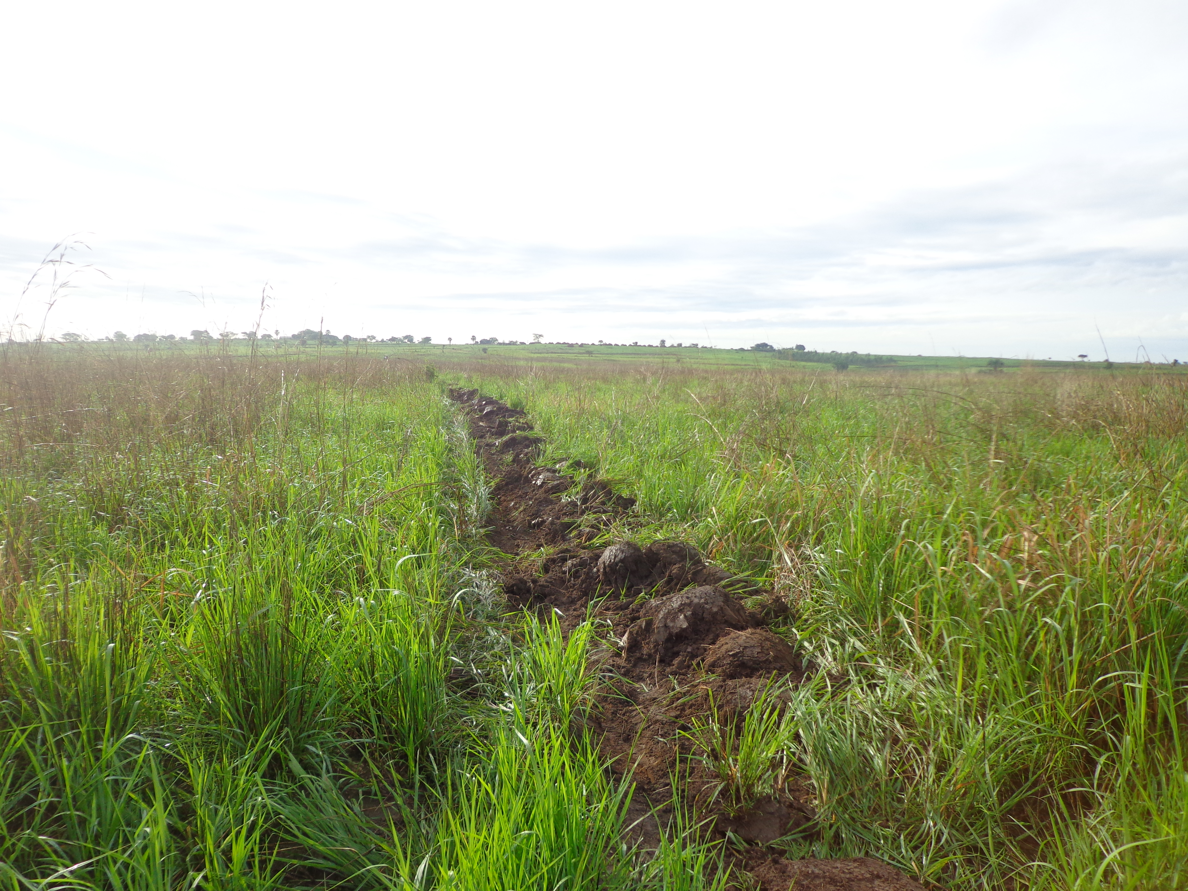 The Lakang centre crosses 5,900 acres of contracted service.